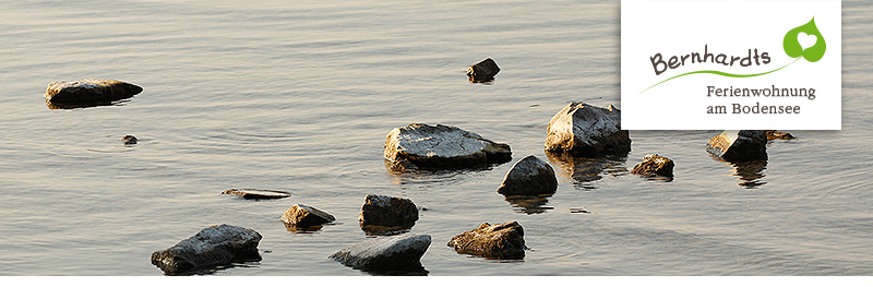 Lindau Bodensee Hafen