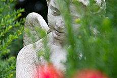 Ferienwohnug Familie Bernhardt - Impressionen